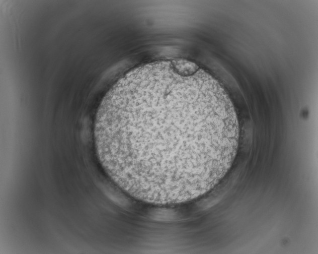 X0000100410361200807032043