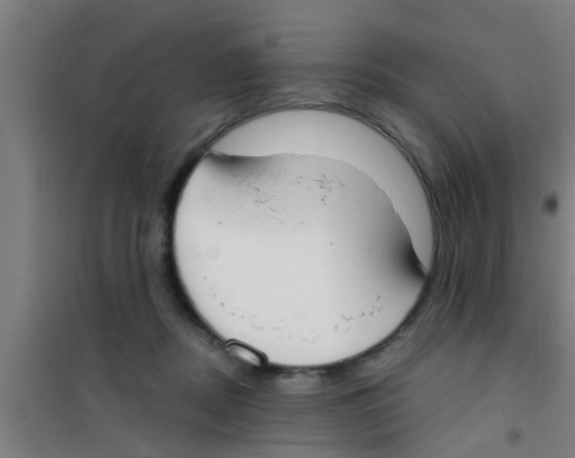 X0000100410362200807032043