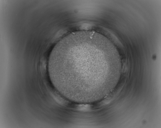 X0000100410363200807032043