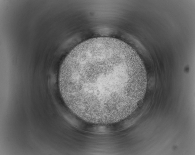 X0000100410365200807032043