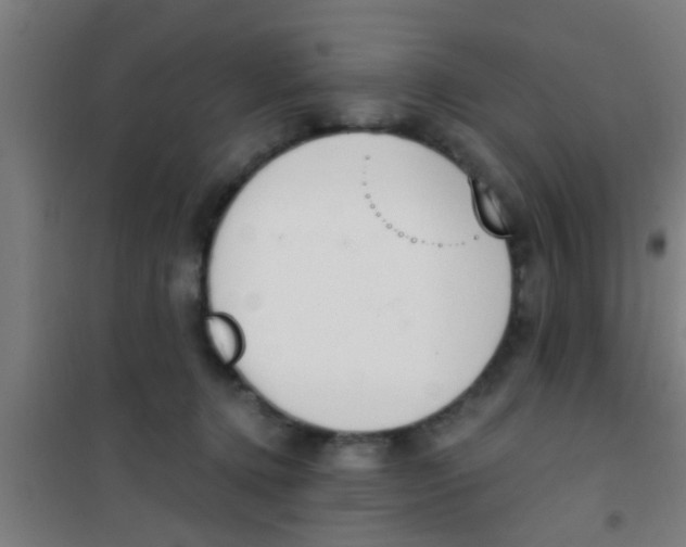 X0000100410368200807032043