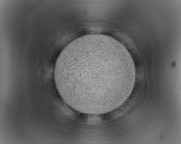 X0000100410369200807032043