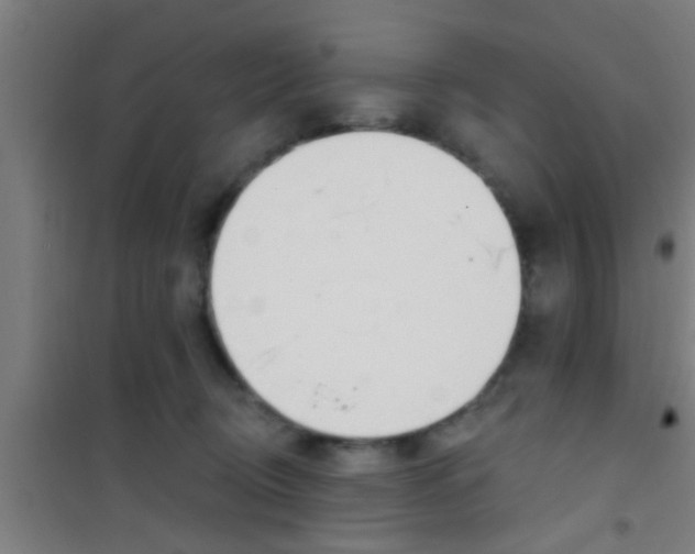 X0000100410370200807032043