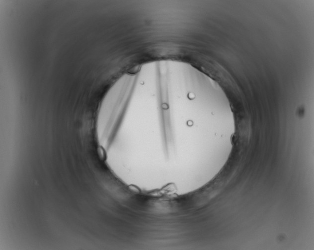 X0000100410372200807032043