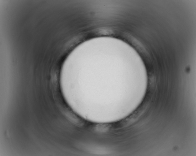 X0000100410373200807032043