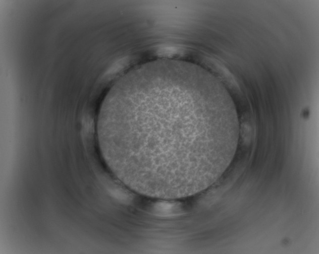 X0000100410375200807032043
