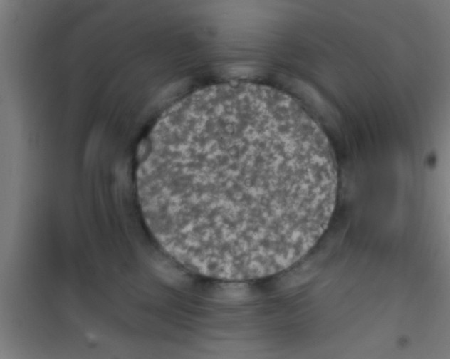 X0000100410377200807032043