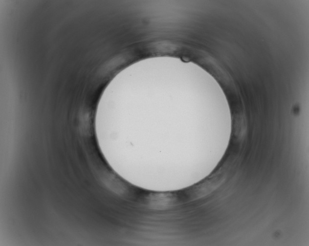 X0000100410378200807032043