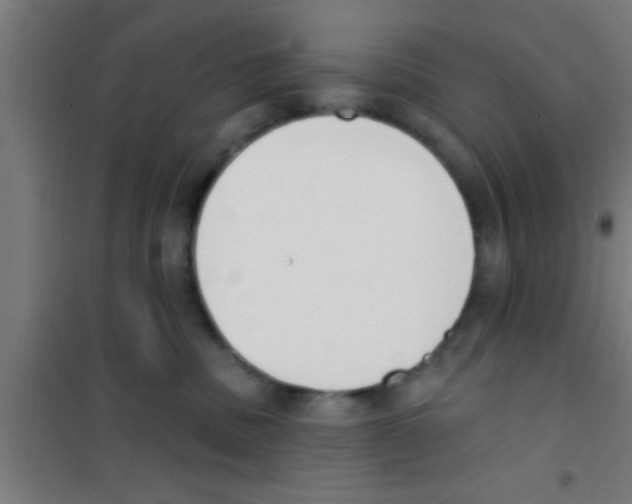 X0000100410379200807032043