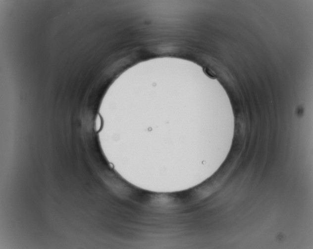 X0000100410380200807032043