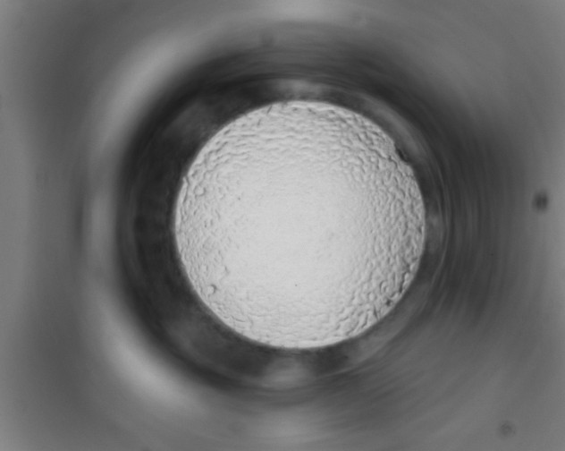X0000100410381200807032043