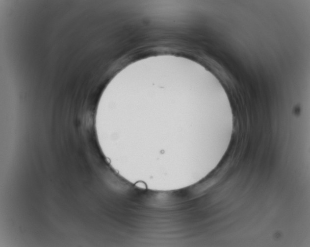 X0000100410382200807032043