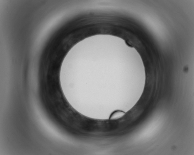 X0000100410383200807032043