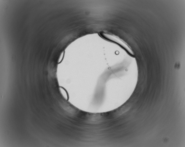 X0000100410384200807032043