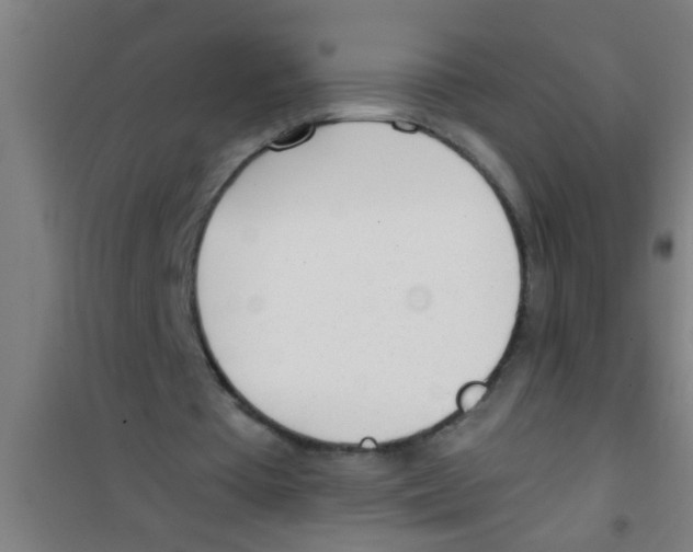 X0000100410385200807032043