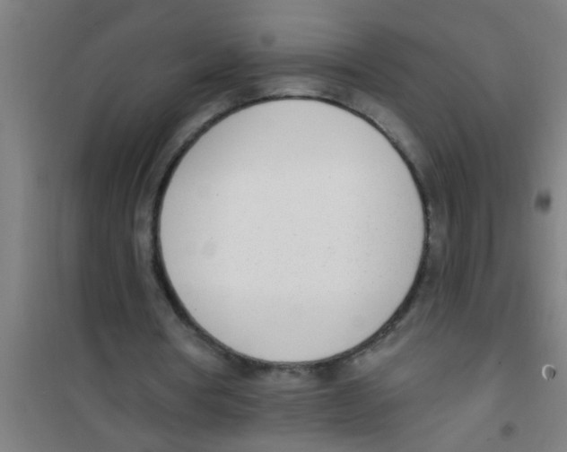 X0000100410386200807032043