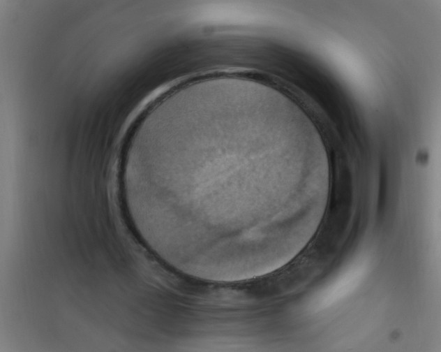 X0000100410387200807032043