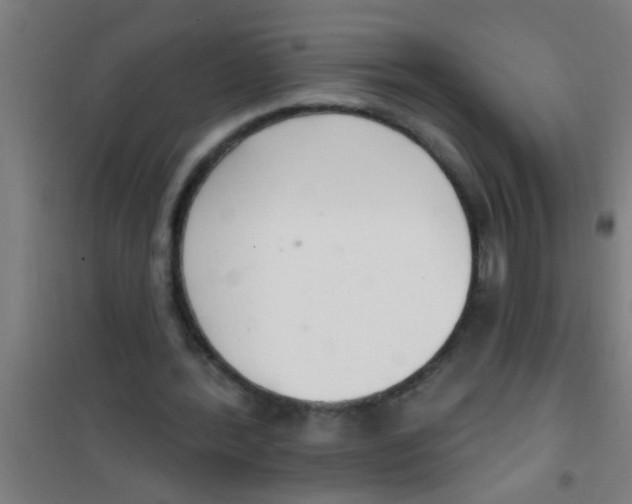 X0000100410388200807032043