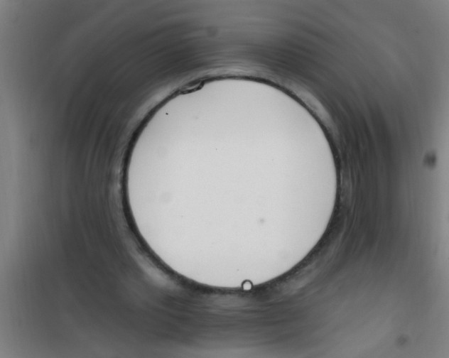 X0000100410389200807032043