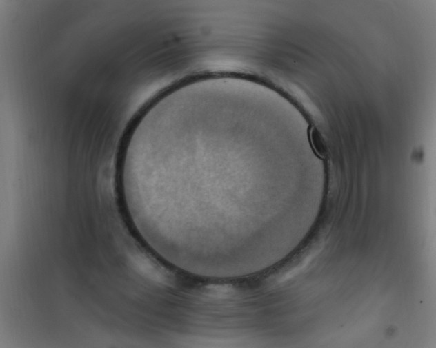 X0000100410391200807032043