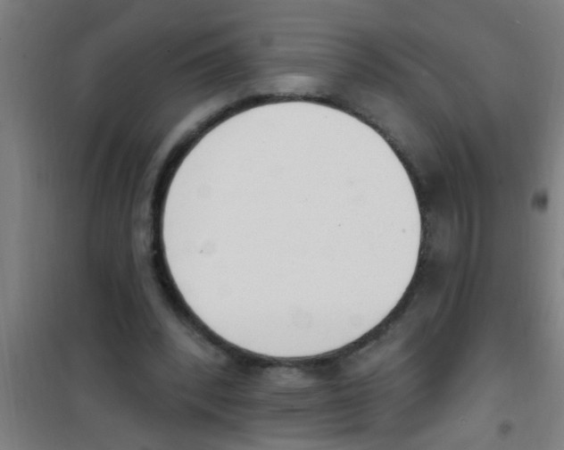 X0000100410392200807032043