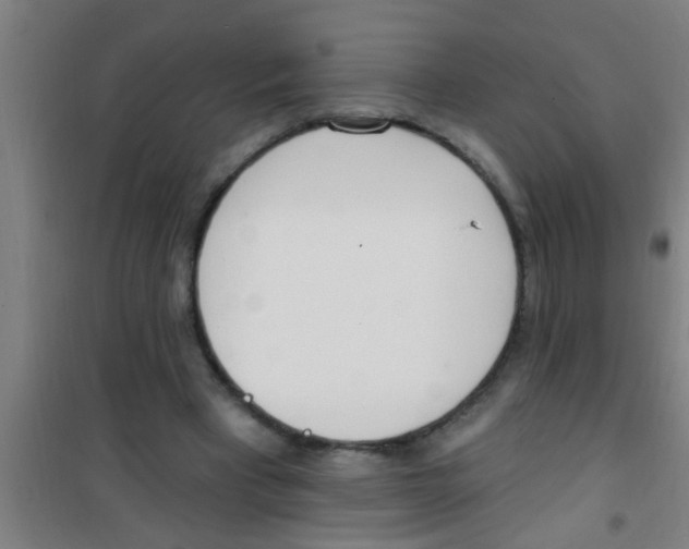 X0000100410393200807032043