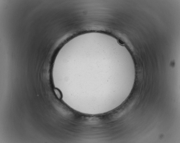 X0000100410395200807032043
