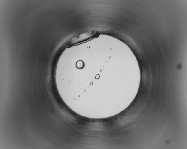 X0000100410396200807032043