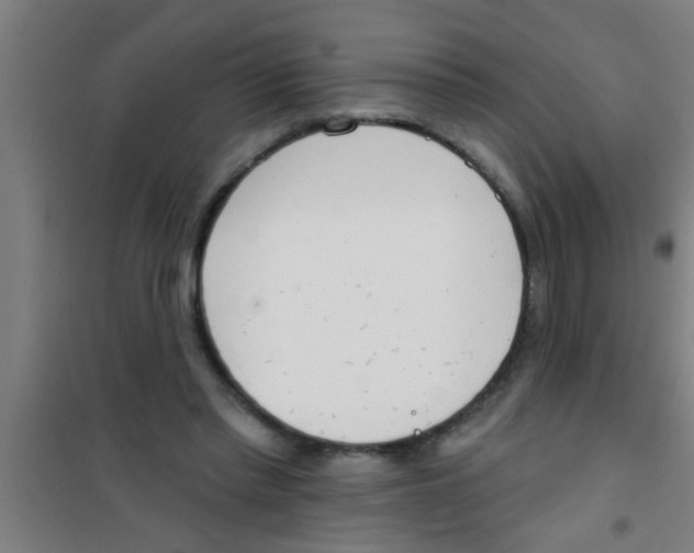 X0000100410397200807032043