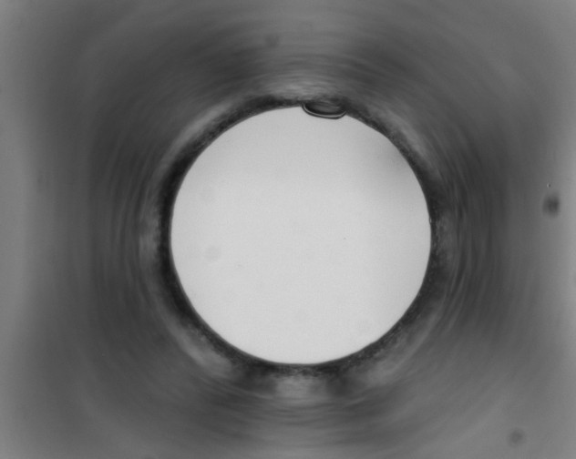 X0000100410400200807032043