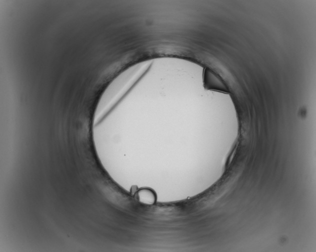 X0000100410401200807032043