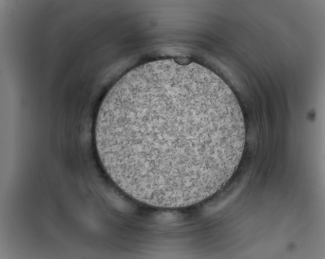 X0000100410402200807032043