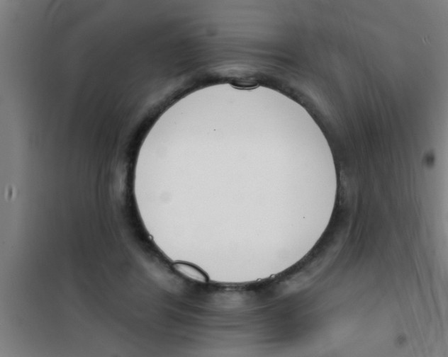 X0000100410404200807032043
