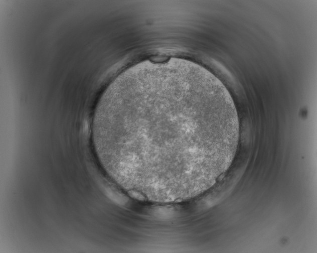 X0000100410405200807032043