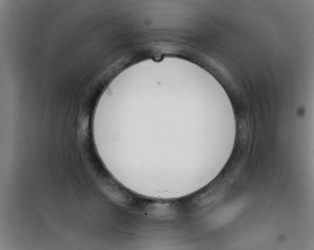 X0000100410406200807032042