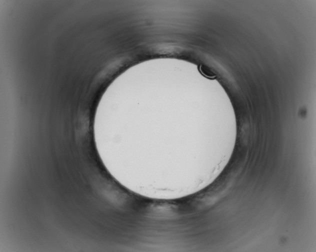 X0000100410407200807032042