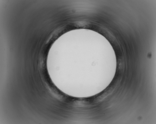 X0000100410408200807032042