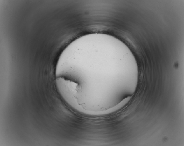 X0000100410411200807032042