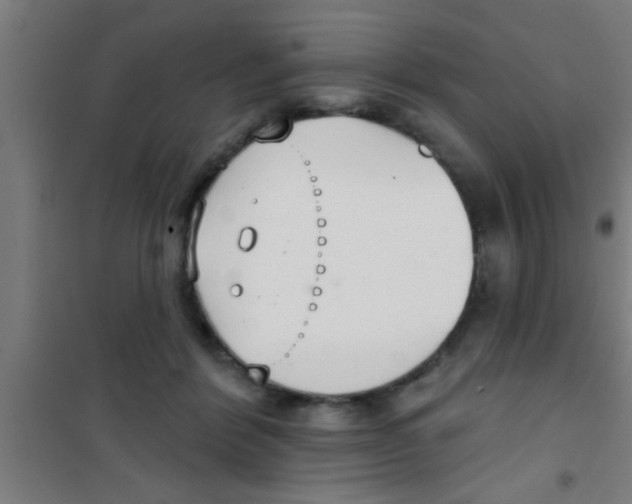 X0000100410412200807032042