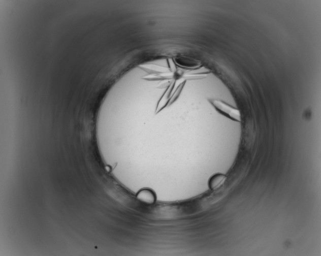 X0000100410413200807032042