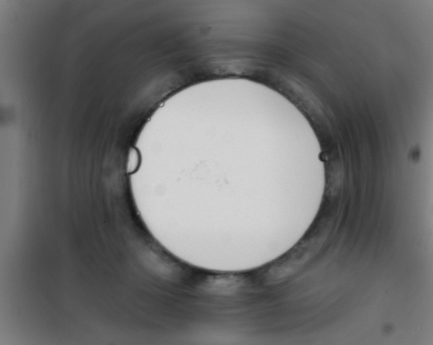 X0000100410414200807032042