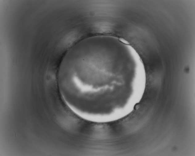 X0000100410415200807032042