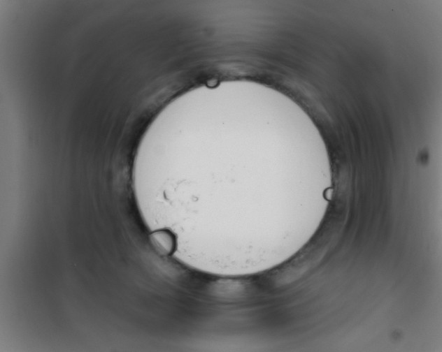 X0000100410418200807032042