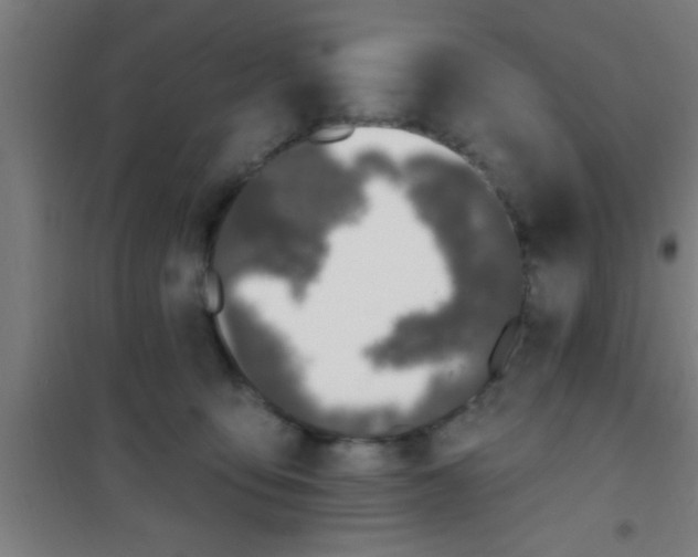 X0000100410419200807032042