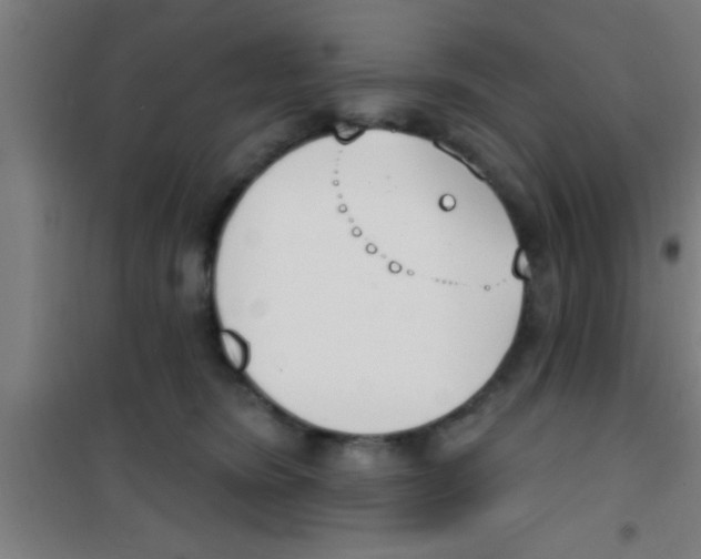 X0000100410420200807032042