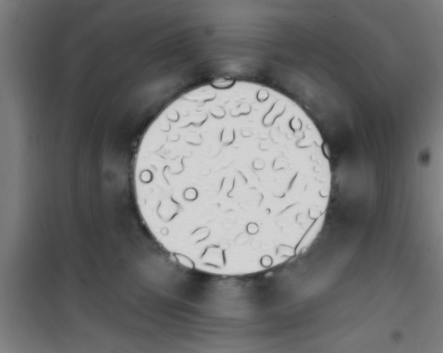 X0000100410423200807032042