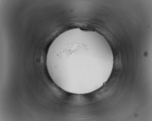 X0000100410424200807032042