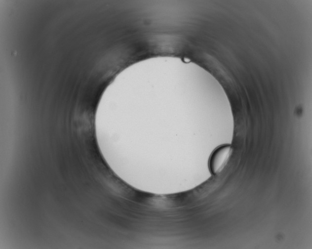 X0000100410425200807032042