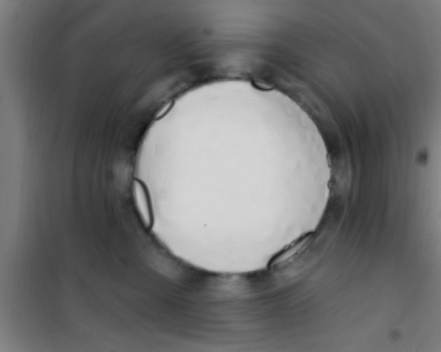 X0000100410427200807032042