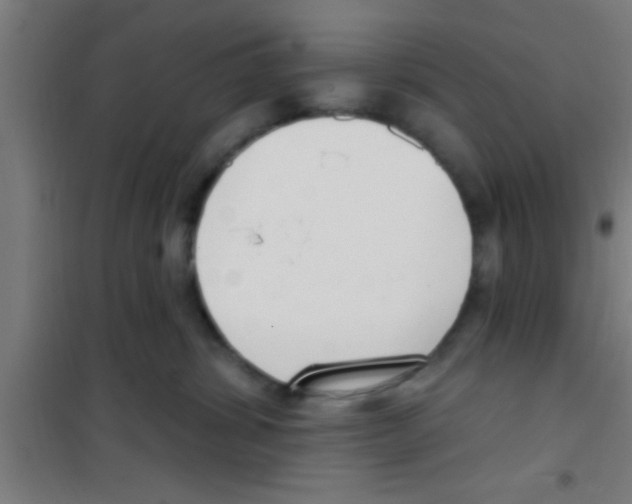 X0000100410428200807032042